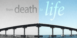 Life & Death